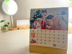 Additional discount: Nov. 13–24 6th image