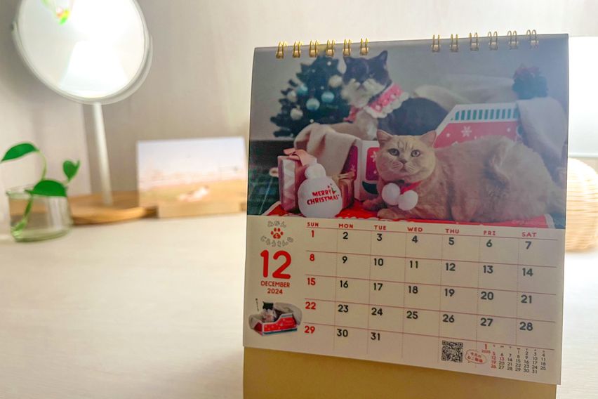 역5분 남향 고층 전망