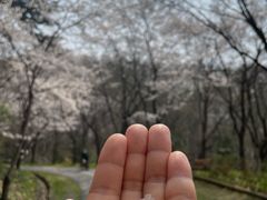 숲내음새소리가득한집 5번째 이미지