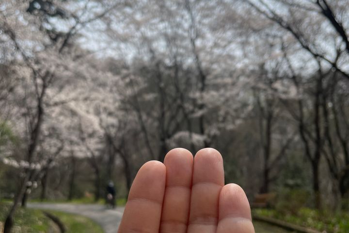 숲내음새소리가득한집 5번째 이미지