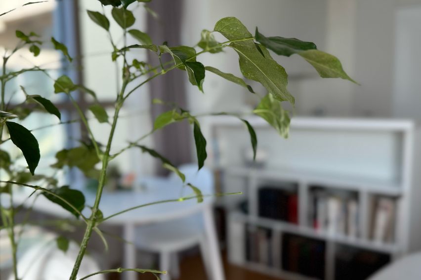 광화문풀옵 센트럴내집 3번째 이미지