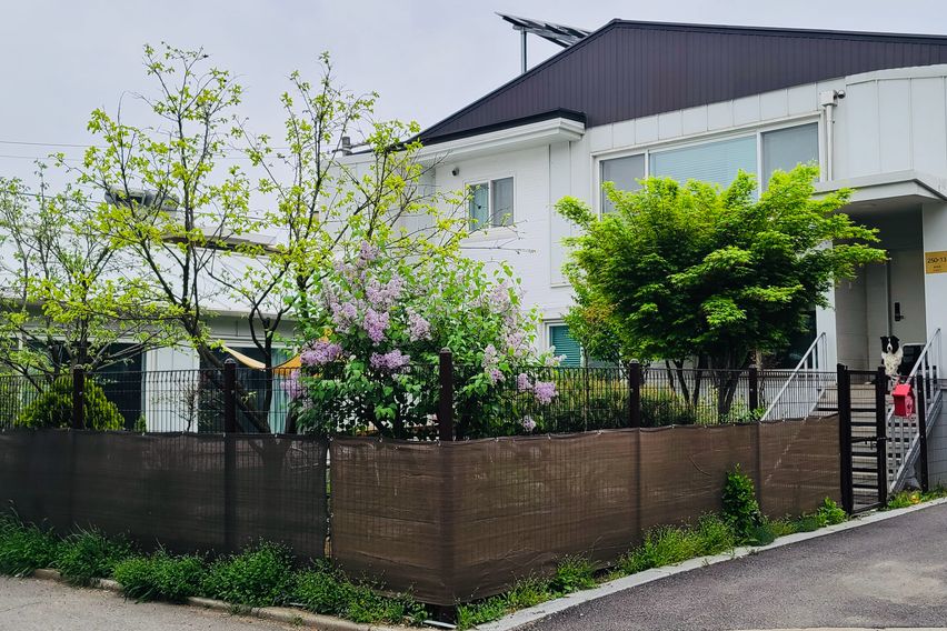킨텍스/대화🌿 까사C 18번째 이미지