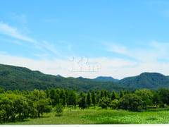 여유 8번째 이미지