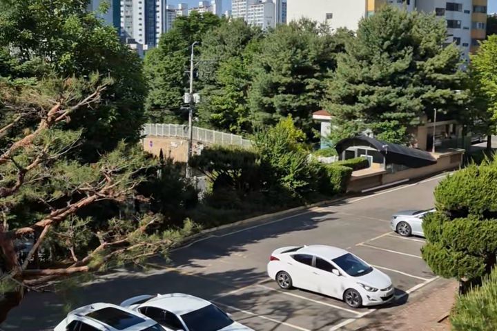 교통편리하고 아주넓은집 0번째 이미지