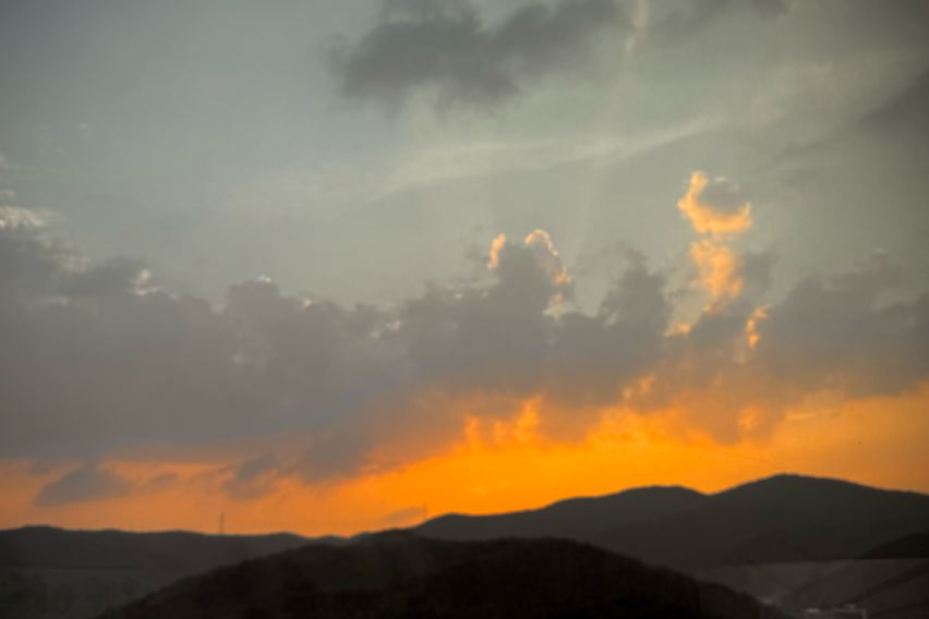 🍃분당/정자/판교-4인