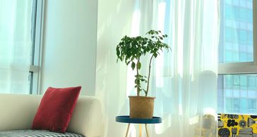 새로오픈한 예쁜집$$$ 방 이미지