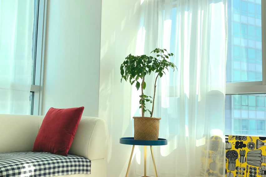 새로오픈한 예쁜집$$$ 0번째 이미지