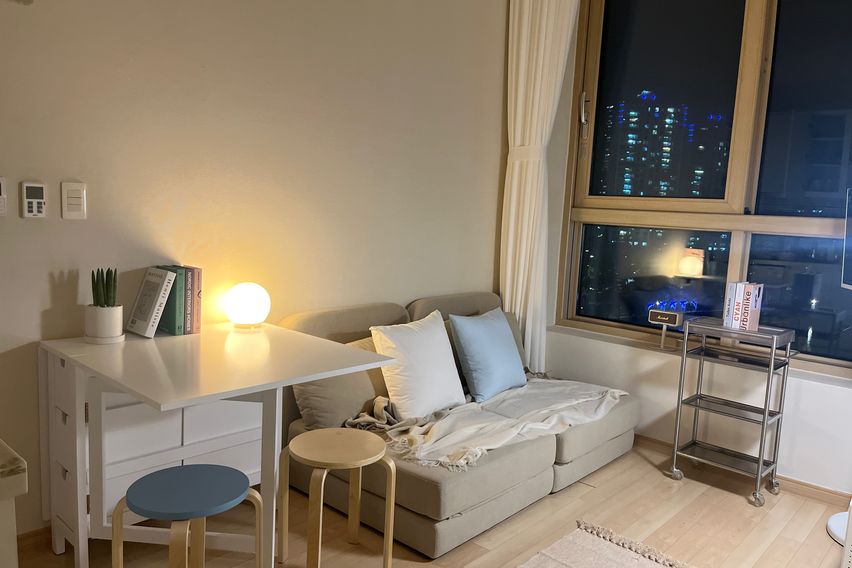 🌿석촌호수 강남 