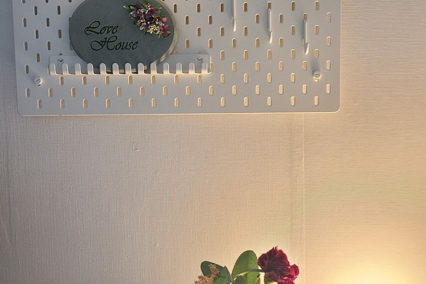 227스테이-스탠다드