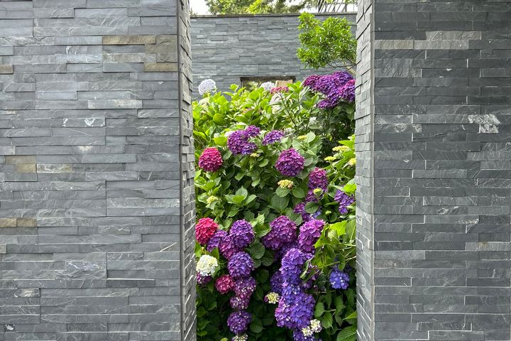 Private house within walking distance of Hyeo 6th image