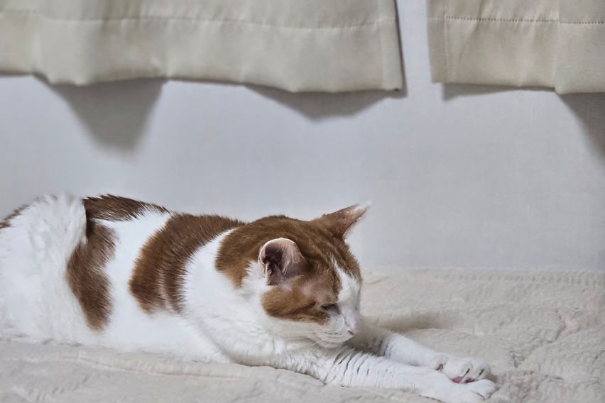 하이 4번째 이미지