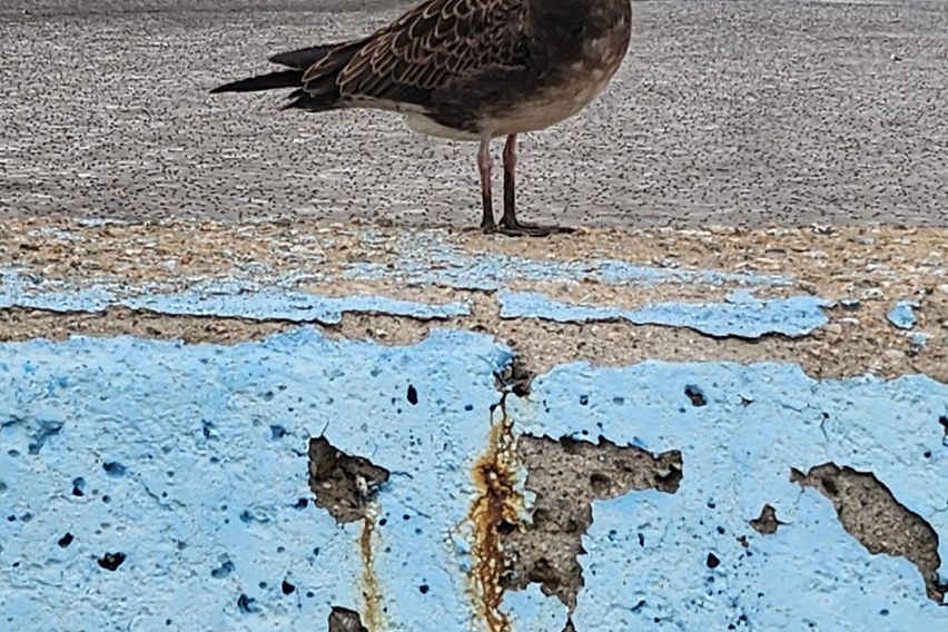 바닷가 펜션 아파트