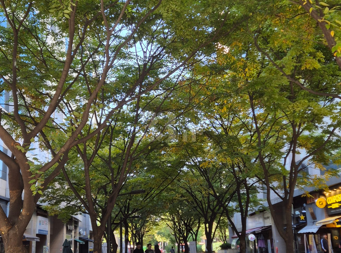 5 minutes from Baekseok Station 😊 Free parki 15th image