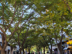 5 minutes from Baekseok Station ๐ Free parki 15th image