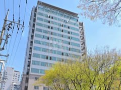 명동/DDP/충무로 18번째 이미지