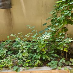 407 방 이미지
