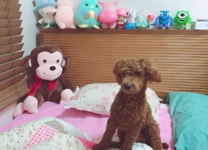 원주 우산동 #풀옵션5 3번째 이미지