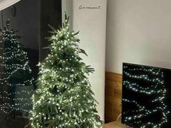 Plant house 3번째 이미지