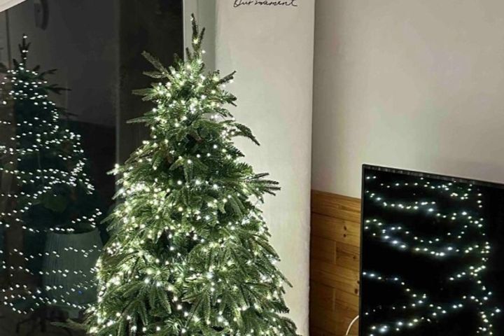 Plant house 3번째 이미지