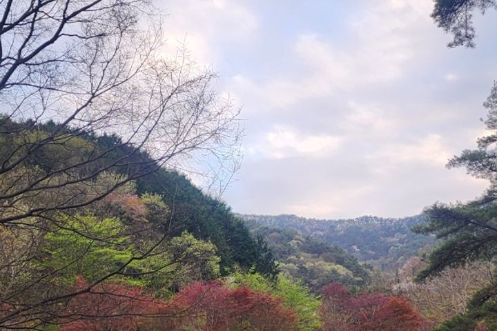 101호 9번째 이미지