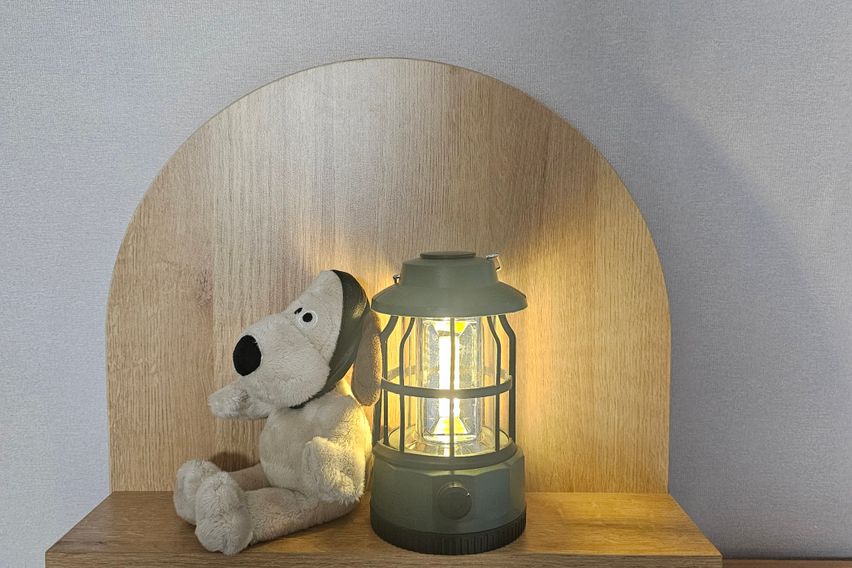 석촌호수롯데월드아산병원