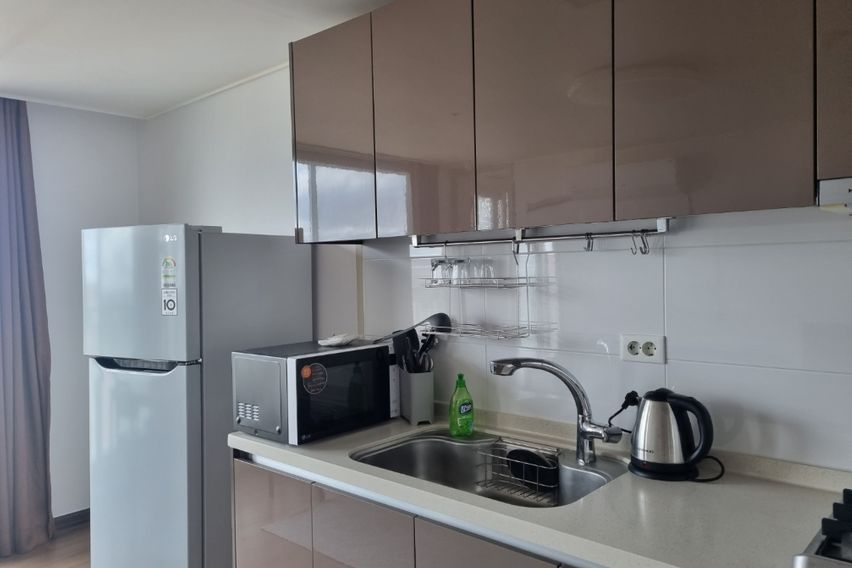 🌈 서귀포17평 애견