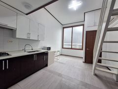 Spacious and pleasant duplex studio 0th image