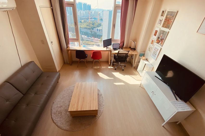 신사 한강 가로수강남 6번째 이미지