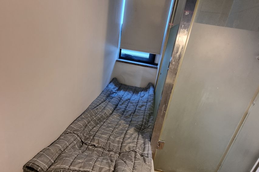 고고스테이 C타입