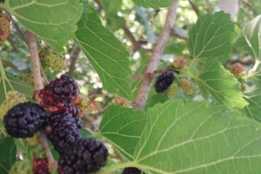 성주:쉼이있는 전원주택 15번째 이미지