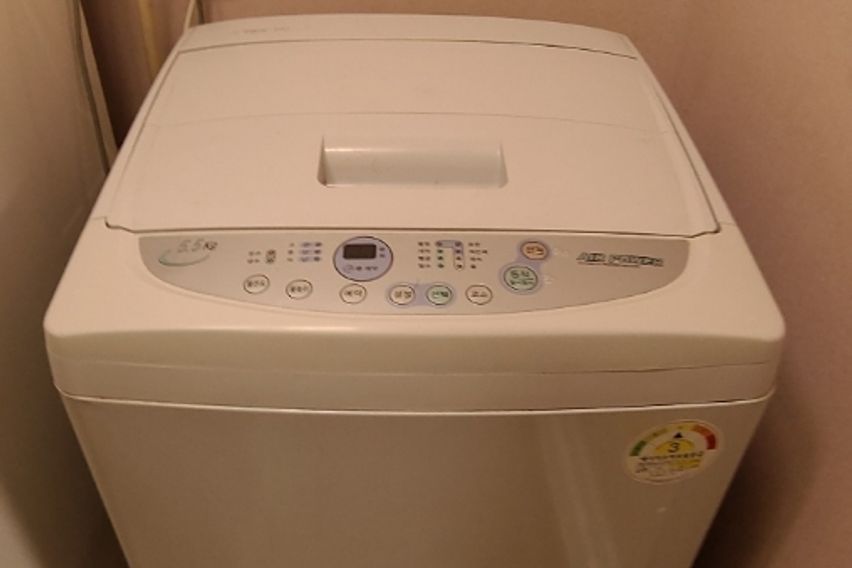 🌳계대룸룸🌸