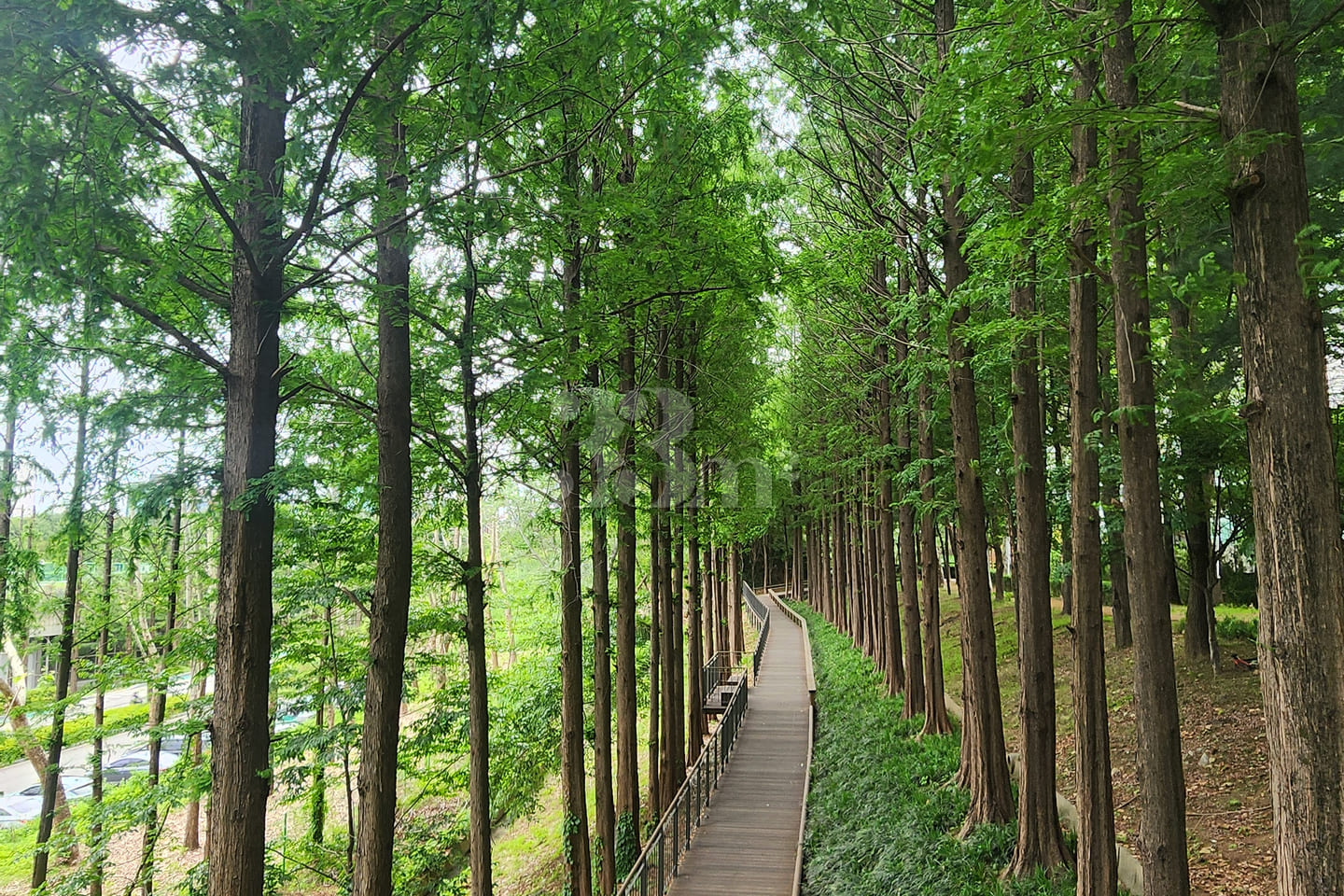 삼성서울병원/대청역2룸 18번째 이미지