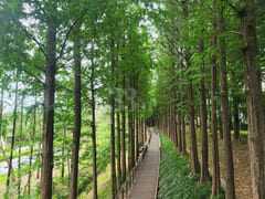 삼성서울병원/대청역2룸 18번째 이미지