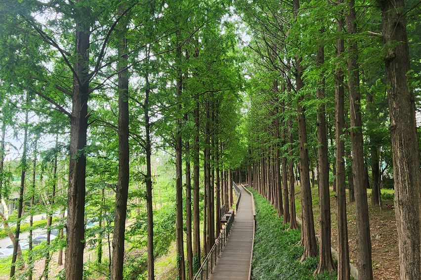 대청역/삼성병원/대치 18번째 이미지