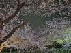 진해 생태공원 조용한방 5번째 이미지