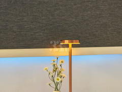 Sunny House with Great Views & Natural Light 17th image