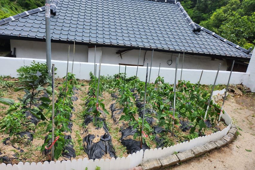 안동 운안동 주택 3번째 이미지