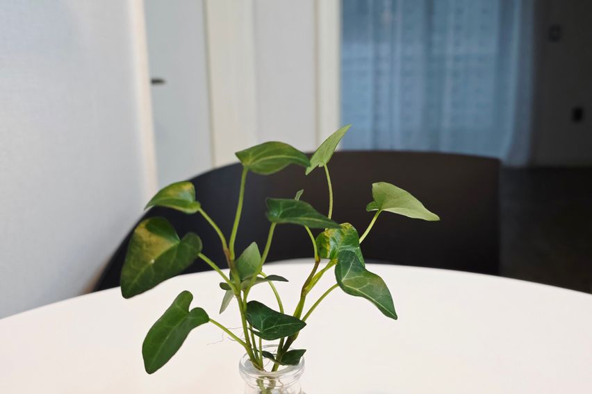 직산 2공단 투룸아파트 5번째 이미지