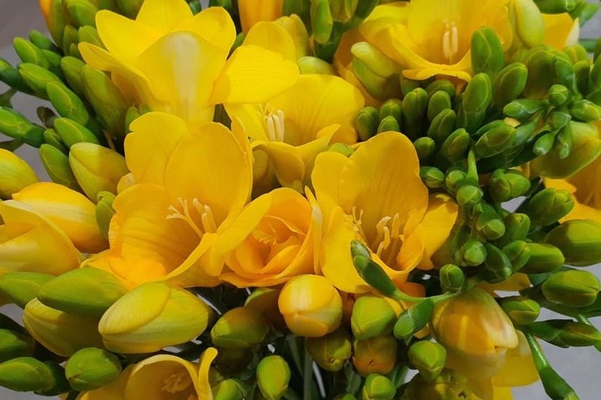 🌱초록이와 함께 잠을