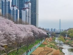 개포 THE H 13번째 이미지