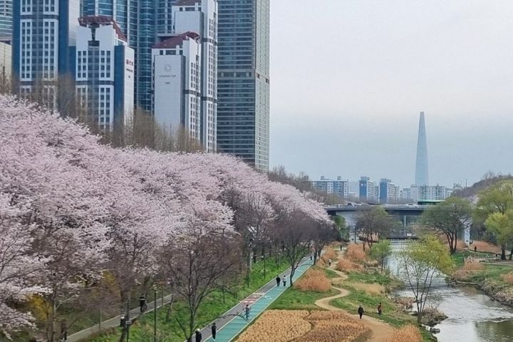 개포 THE H 13번째 이미지