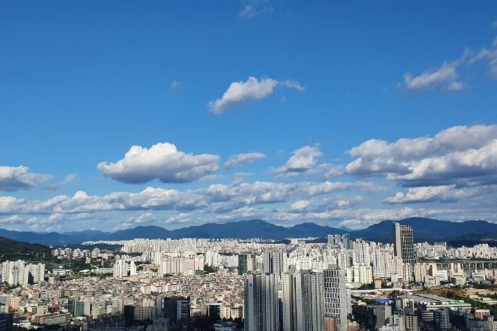 전체사용 1번째 이미지