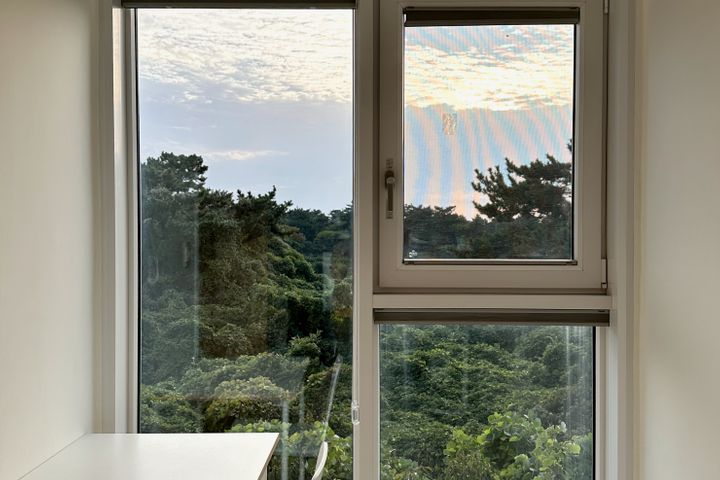 금능 해변 근처 숲 뷰 6번째 이미지