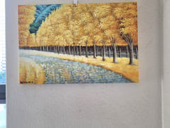 #GreatNaturalLight #GreatValue #405 13th image