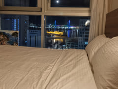 Pet-friendly accommodations in Busan 3th image