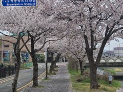 풍경이 아름다운 뷰 9번째 이미지