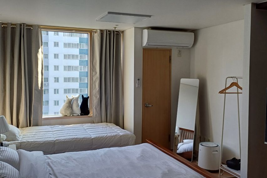 수서❤️2배드 구스침구