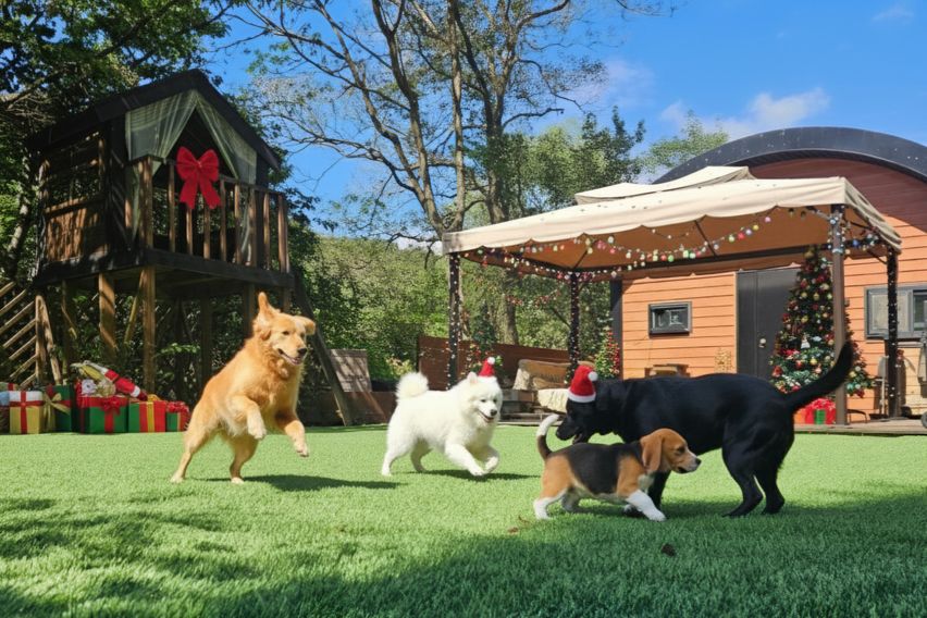 마당있는 독채 공간 0번째 이미지