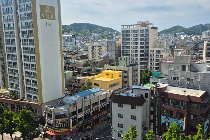 신축과 교통이 최고 11번째 이미지