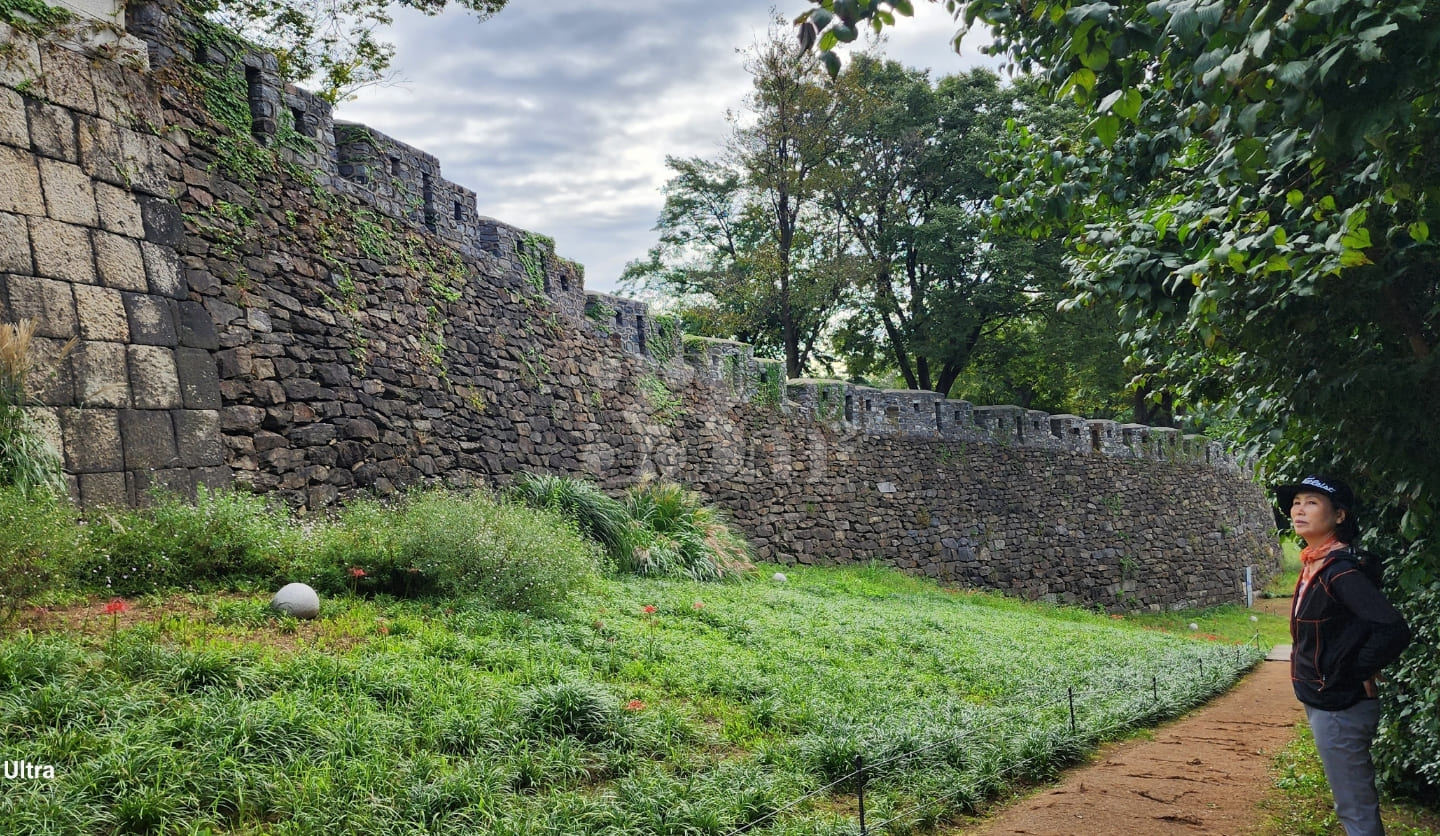 Namsan Pine / 28 pyeong 17th image